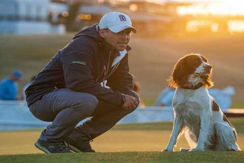 Grass Clippings, Arizona's first fully lit 18-hole golf course opens, sells out first weekend