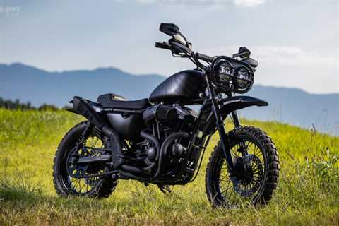 Brutester: An animalistic Harley Sportster 883 scrambler from Japan