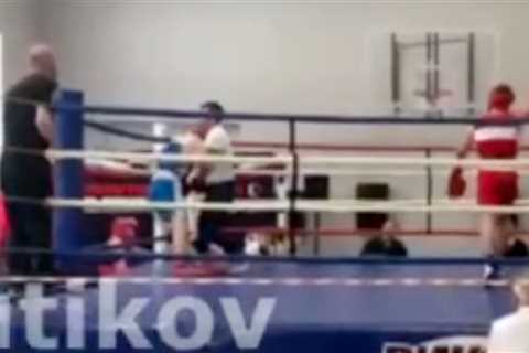 Tragedy as Teen Boxer, 14, Dies After Collapsing During Fight When Referee 'Failed to Stop Bout in..