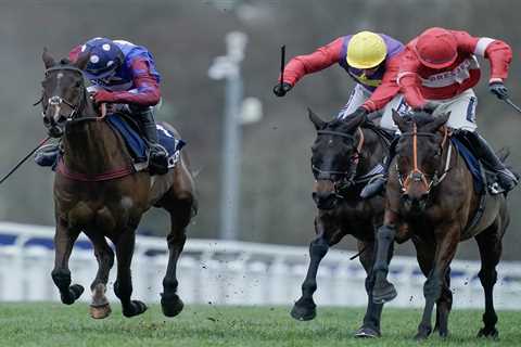 Crambo Stuns Ascot Crowd with Victory in Long Walk Hurdle