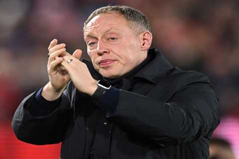 Crystal Palace and Birmingham Battle for Steve Cooper as Next Manager