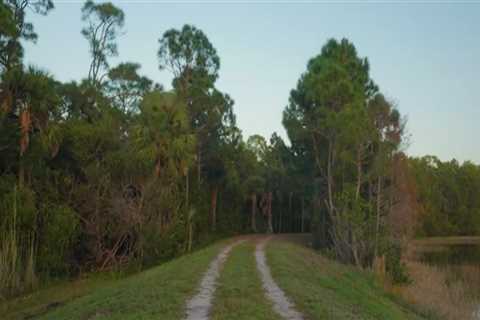 Exploring the Magnificent Bike Trails of Palm Beach County, Florida