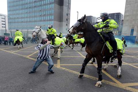 Newcastle Fan Who Punched a Horse Receives Jail Time and Football Ban