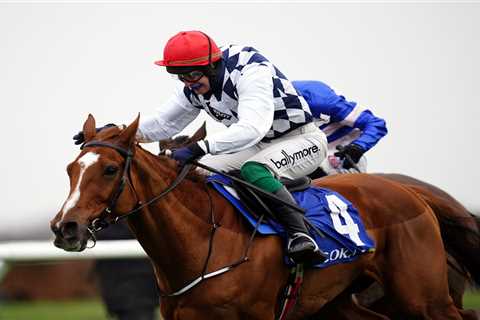 Exciting Chaser Banbridge a Must-Win Bet at 5-1 for the Ryanair, Says Templegate