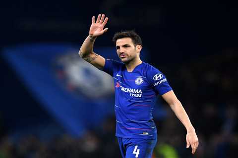 Chelsea Fans Hopeful as Cesc Fabregas Sets Sights on Future Managerial Role