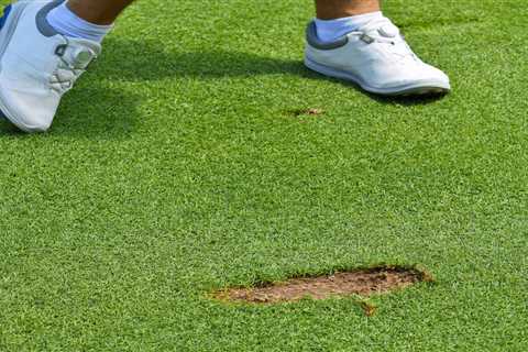 Golfers Don’t Deserve Free Relief From Fairway Divots