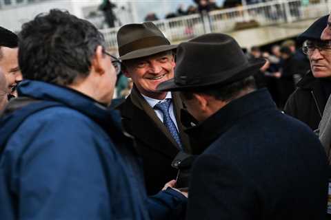 Odds slashed on unknown Willie Mullins bought by famous owners for £155,000 Betfair Hurdle