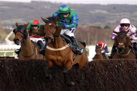 Trainer Jamie Snowden Reveals Shock Plan for Cheltenham Specialist at Ryanair Chase