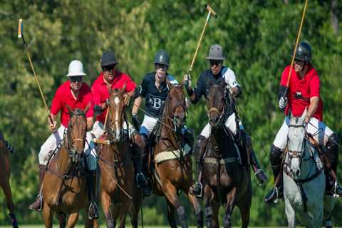 The Culinary Delights of Polo Sporting Events in Aiken, South Carolina