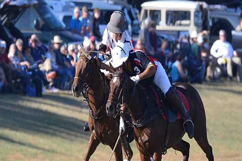 The Thrilling World of Polo in Aiken, South Carolina