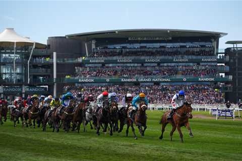 Grand National Favorites Shift and Six Horses Withdraw from £1million Race