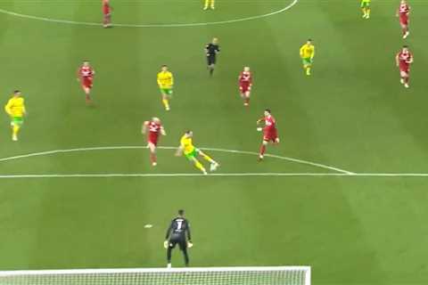 Former Premier League Star Scores Hilarious 'Goal of the Season' for Norwich