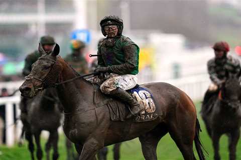 Five Horses Ready to Shine at Cheltenham Festival