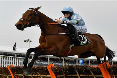 How to Watch 5.30 National Hunt Chase at Cheltenham Festival 2024