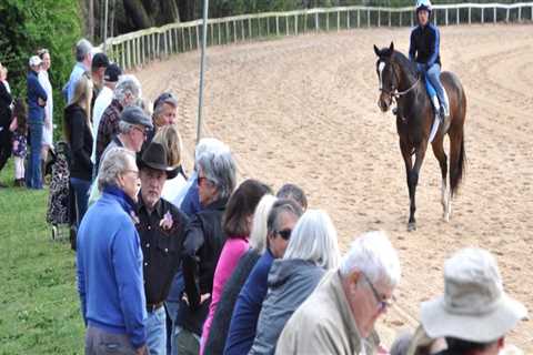 Experience the Excitement of Equestrian Events in Aiken, SC