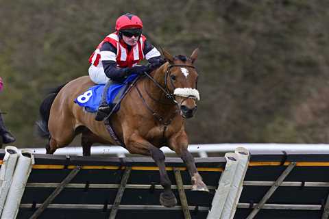 How to Watch 4.50 Grand Annual Steeple Chase Challenge Cup at Cheltenham Festival 2024