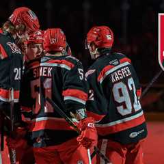 Griffins clinch playoff berth | TheAHL.com