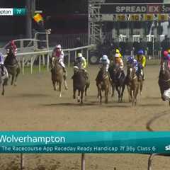 Chaos at Wolverhampton Races as Nine Horses Withdrawn After False Start