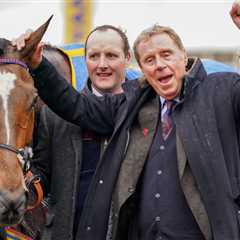 Harry Redknapp's Aintree Runners: What You Need to Know
