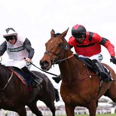 3.05 Aintree 2024 result – day 3: Who won the Liverpool Hurdle? How every horse finished at Grand..