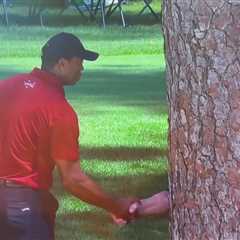 Tiger Woods Creates Hilarious Moment at the Masters by 'Shaking Hands with a Tree'