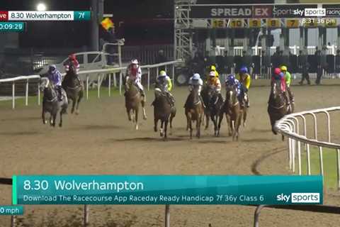 Chaos at Wolverhampton Races as Nine Horses Withdrawn After False Start