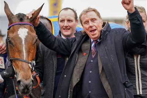 Harry Redknapp's Aintree Runners: What You Need to Know