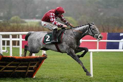 Sir Alex Ferguson's Record-Breaking Horse Withdrawn from Grand National Day