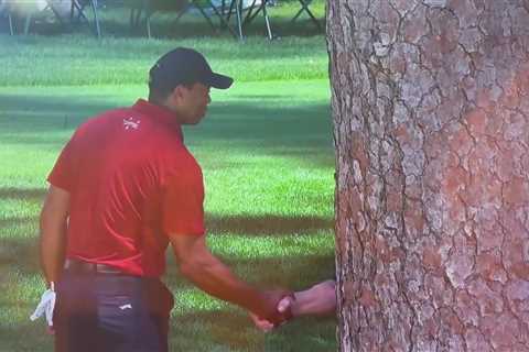 Tiger Woods Creates Hilarious Moment at the Masters by 'Shaking Hands with a Tree'