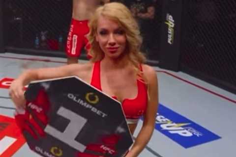 MMA Fighter Ali Heibati Handed Lifetime Ban After Disgraceful Antics in the Cage