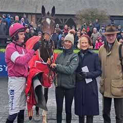 French import Storm Heart looks smart at Punchestown