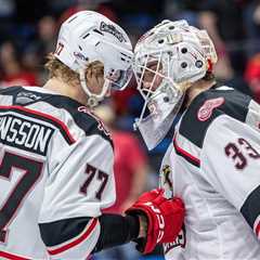 Griffins take care of IceHogs, win first series since ’17 | TheAHL.com