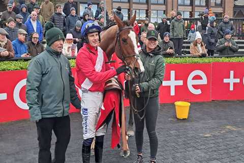 Rejuvenated Sir Gerhard ‘may go down Stayers’ Hurdle route’