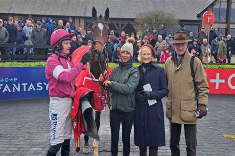 French import Storm Heart looks smart at Punchestown