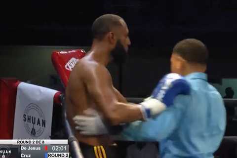 Boxing Referee Attacked After Stopping Fight