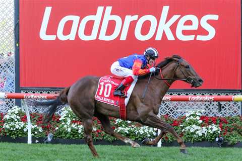 2024 Stradbroke Handicap Set for a Wide-Open Race at Eagle Farm