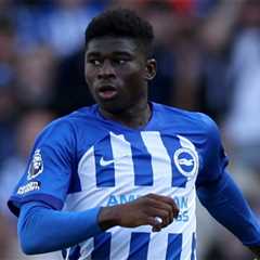 Who will become Brighton midfield general under Hurzeler?