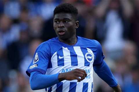 Who will become Brighton midfield general under Hurzeler?