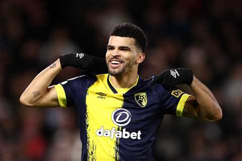 Tottenham looking to sign Dominic Solanke in a part-exchange deal