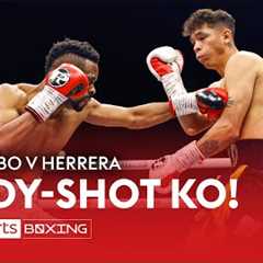 HUGE BODY-SHOT KO!  Emmany Kalombo vs Sergio Garcia Herrera