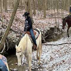 The Thriving Horse Industry in Beaver County, Pennsylvania
