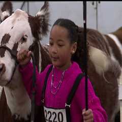 The Impact of Horse Industries on Local Agriculture in Beaver County, Pennsylvania