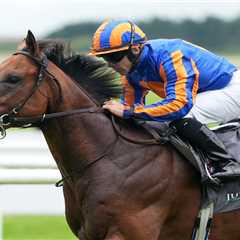 The Lion In Winter Roars Back: Derby Punters Pile In Despite Dante Disaster