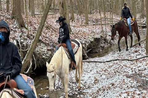 The Thriving Horse Industry in Beaver County, Pennsylvania