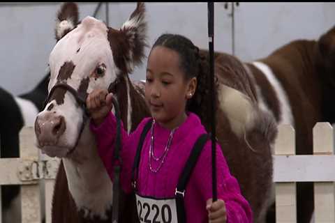 The Impact of Horse Industries on Local Agriculture in Beaver County, Pennsylvania