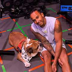 F1 Drivers and Their Ridiculously Pampered Pets (Including One Guy Who Literally Owns a Reindeer)