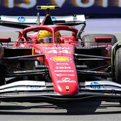 When Lewis Hamilton's Canadian GP Turned Into a Wildlife Disaster