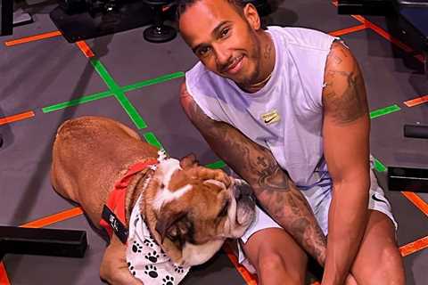 F1 Drivers and Their Ridiculously Pampered Pets (Including One Guy Who Literally Owns a Reindeer)