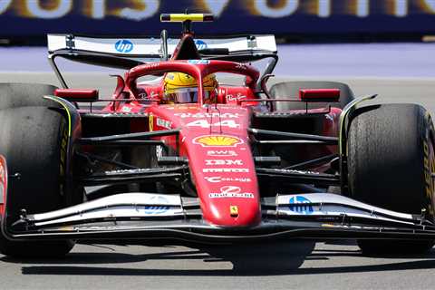 When Lewis Hamilton's Canadian GP Turned Into a Wildlife Disaster