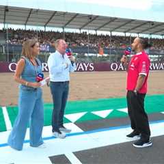 Hamilton Just Roasted Martin Brundle on Live TV and I'm Still Laughing
